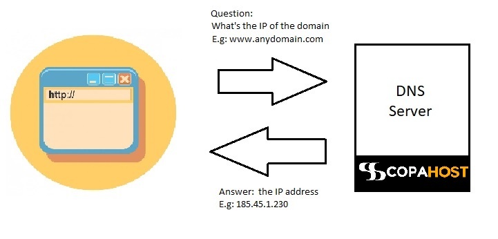 What does DNS stand for?