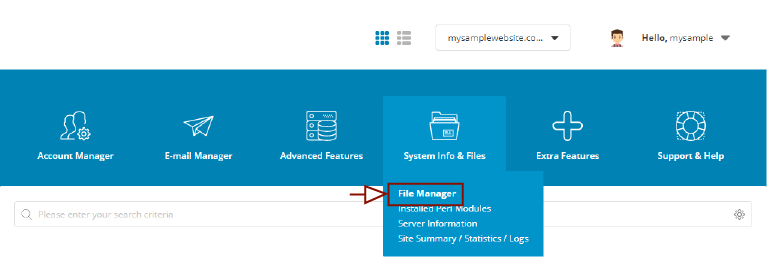 DirectAdmin Control Panel -> File Manager