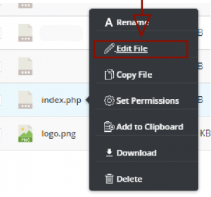 Edit files from file manager