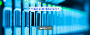 What is Web Server