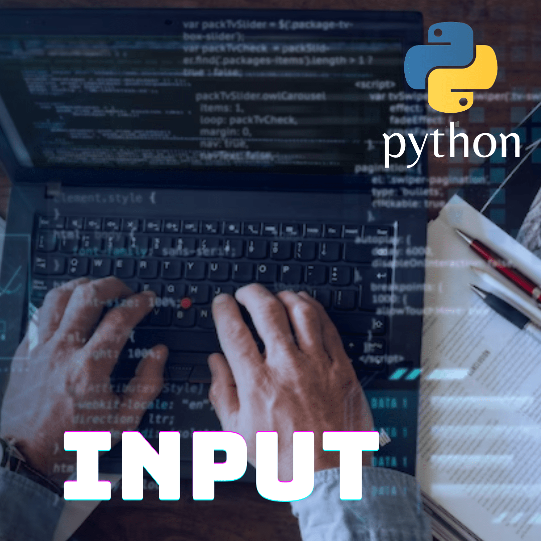 input python
