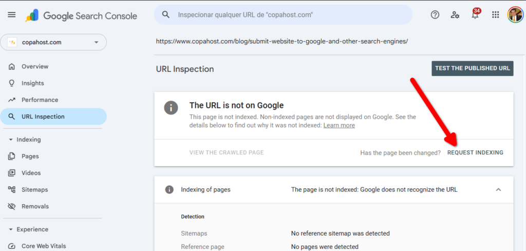 Request indexing for a specific URL