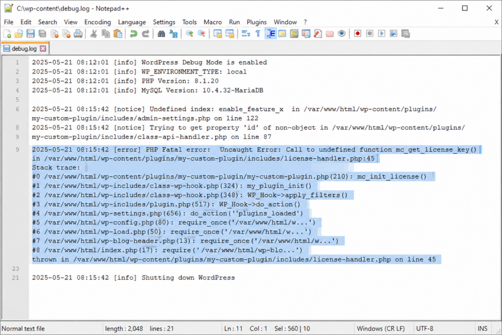 Reading the WordPress debug.log file to identify the cause of the 500 error