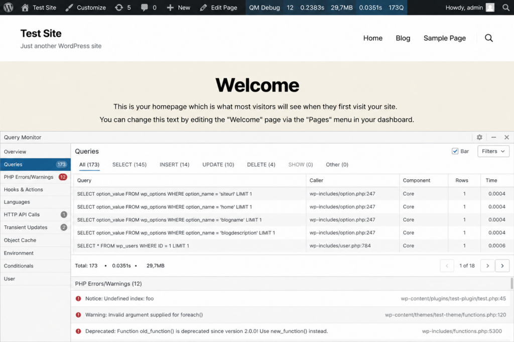 The Query Monitor plugin panel showing debugging information