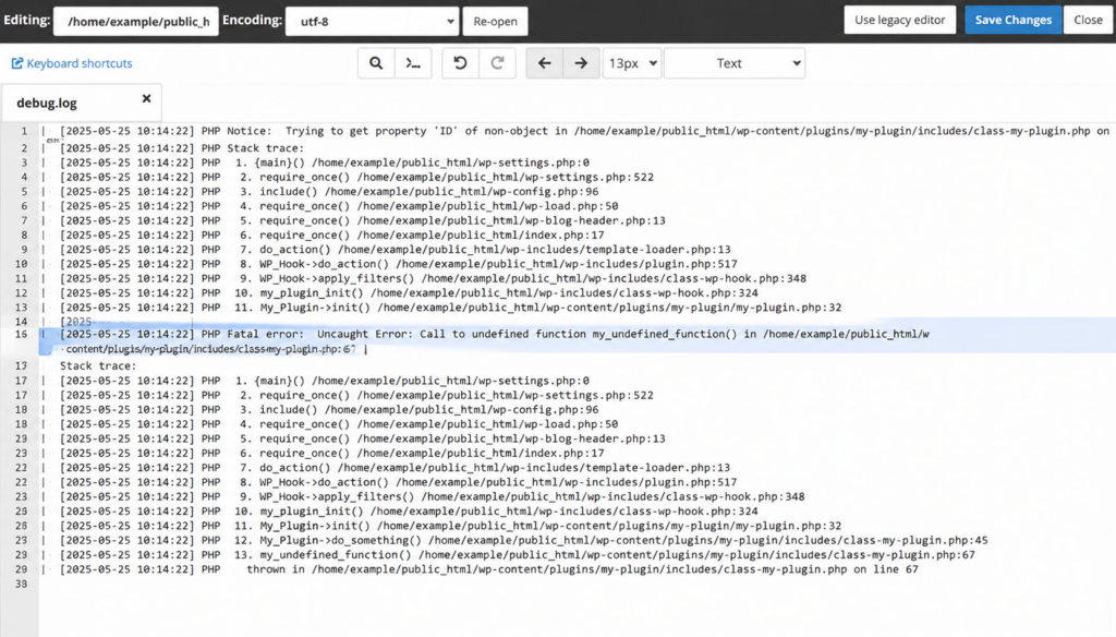 Wordpress debug.log