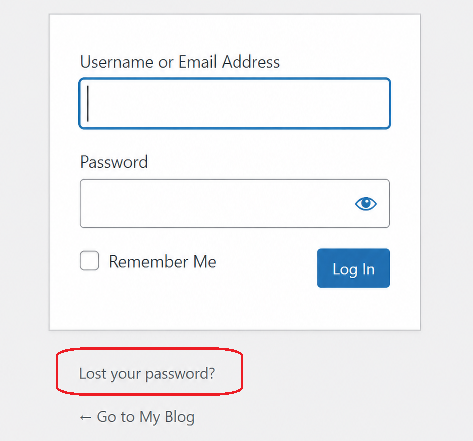 The Lost your password link below the WordPress login form