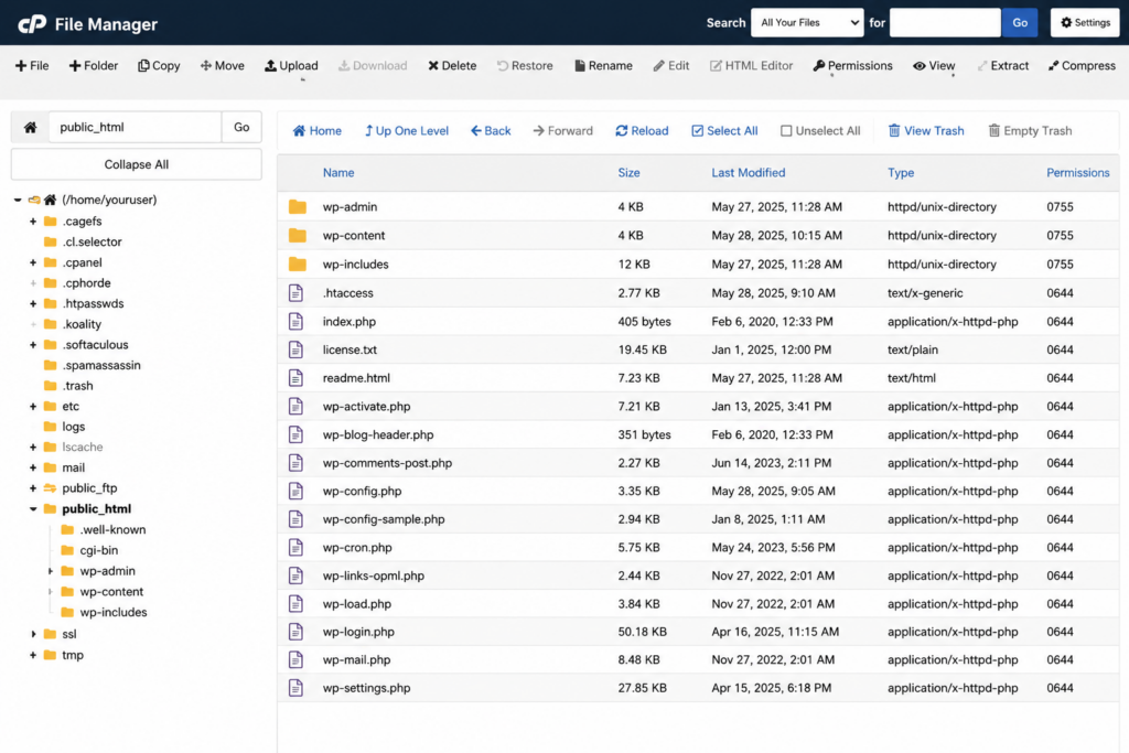 WordPress root directory showing wp-admin, wp-includes, and wp-content folders