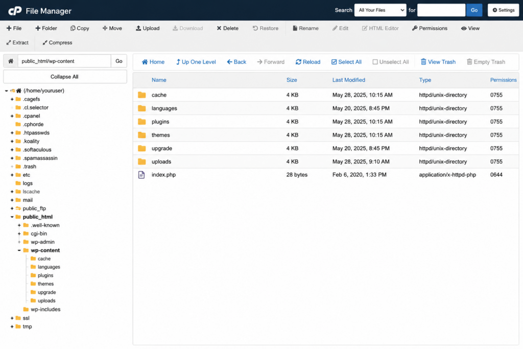 The wp-content folder open in cPanel File Manager showing plugins, themes, and uploads